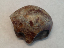 English pebble paleolithic chopper view 2