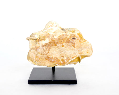 Zoomorphic S. English Handaxe #1