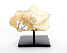 Zoomorphic S. English Handaxe #1