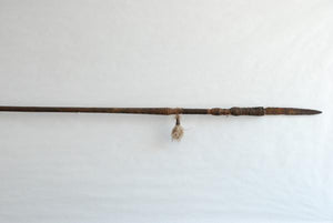 Coastal Sepik New Guinea spear