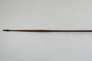 Coastal Sepik New Guinea spear